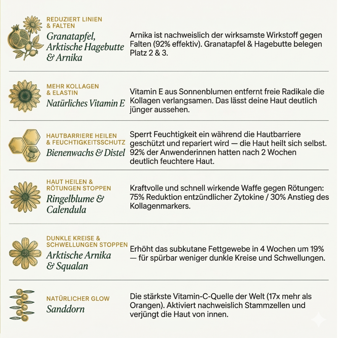 Revival System - 4-Schritte Piezo-Aktive Zellerneuerung für reife Haut