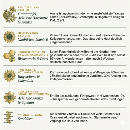 Revival System - 4-Schritte Piezo-Aktive Zellerneuerung für reife Haut
