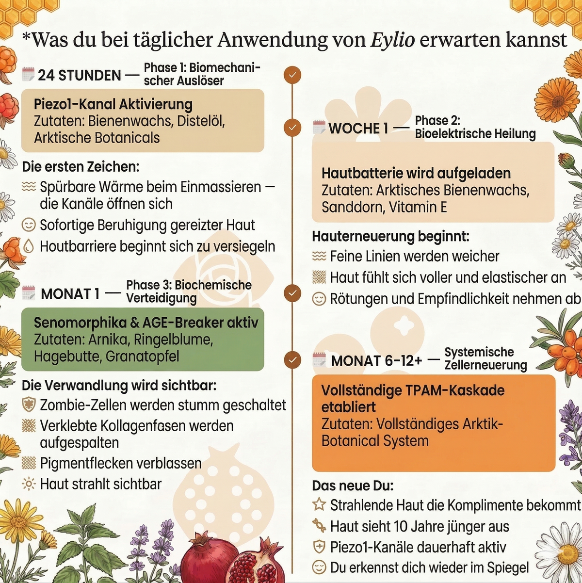 Revival System - 4-Schritte Piezo-Aktive Zellerneuerung für reife Haut
